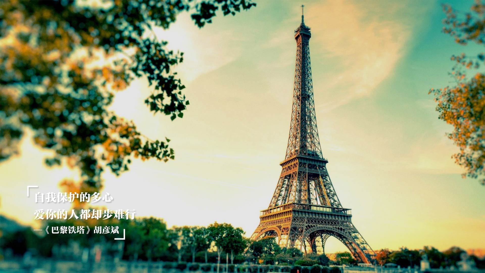 “本土球员表现抢眼,被誉为未来之星”,足球未来之星阵容