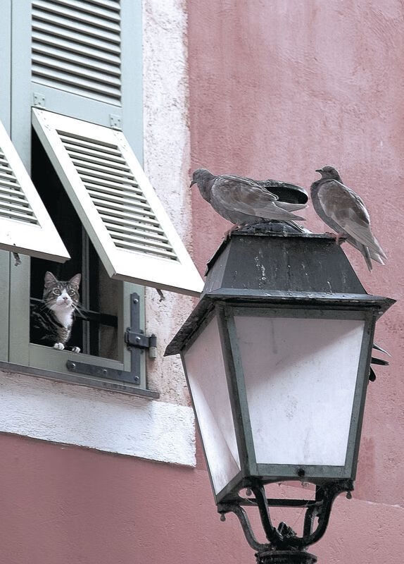 下载乐鱼体育APP-全国多地推行“足球场地自行冠名”，推动足球场馆社会化运营，足球比赛场馆