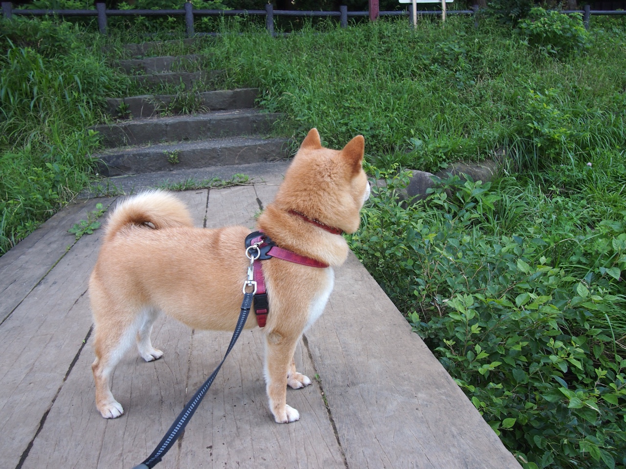 乐鱼（LEYU）体育-电竞选手心理健康支持体系完善，电竞选手健康管理