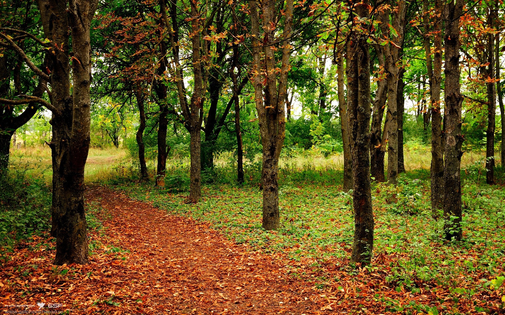 Leyu Sport登录入口-电竞选手商业价值：如何实现商业价值，实现自我价值，电竞的商业模式