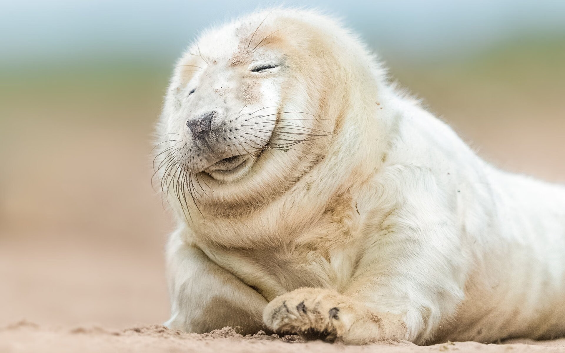 LeyuSports-逆境中的“勇士心”：坚韧球员的奋斗故事，勇士例子