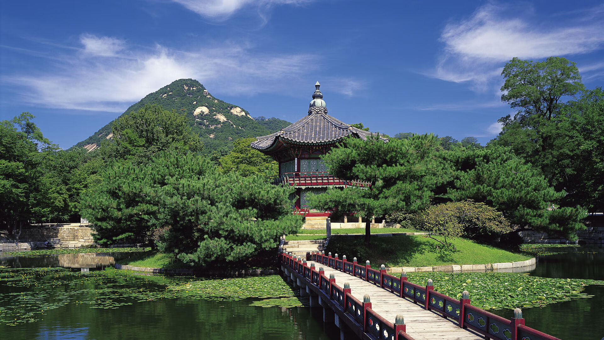 CBA球队高强度训练备战新赛季，冠军呼唤着他们，cba球队高强度训练备战新赛季,冠军呼唤着他们的光芒