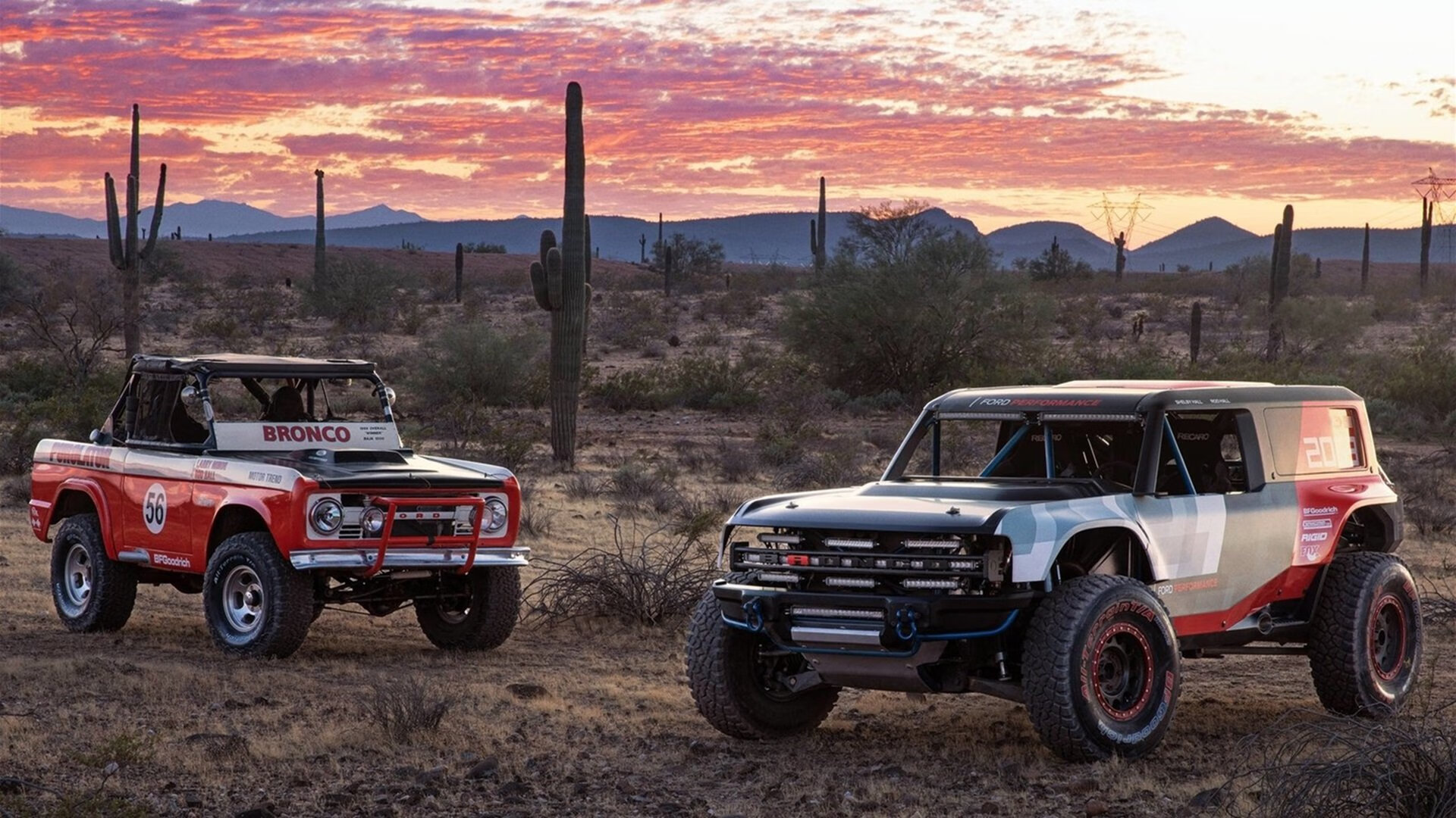 下载乐鱼体育APP-NBL新秀球员表现抢眼，nba新秀数据2021