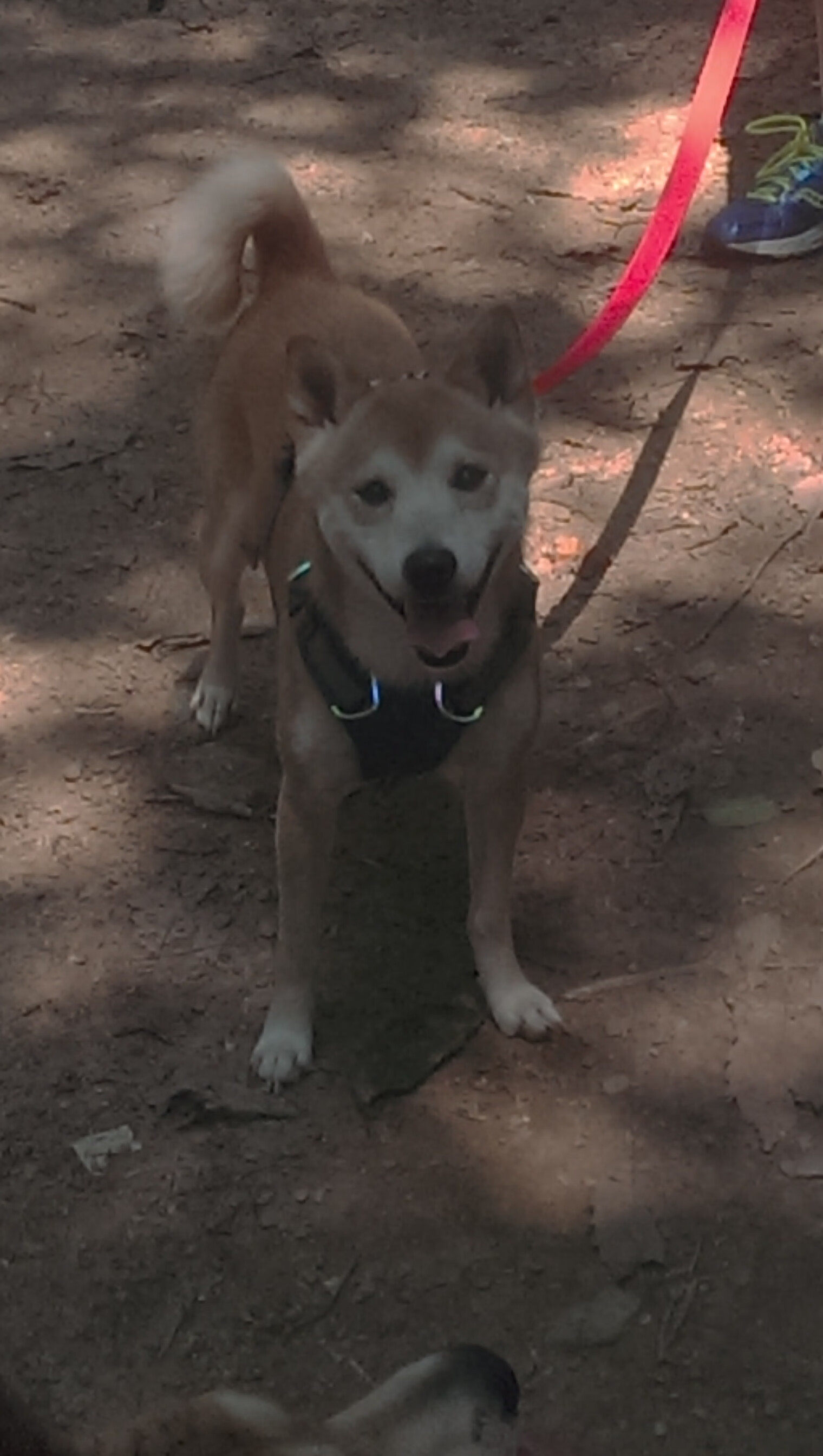 乐鱼娱乐app-两队季后赛首轮对决成焦点战役，季后赛首轮对阵产生