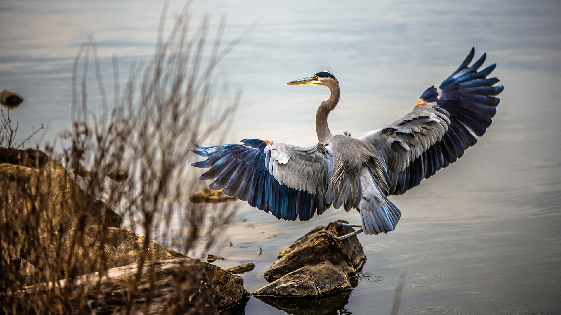 亚洲荣耀：泰国队大战俄罗斯，中场对决，泰国联赛足球