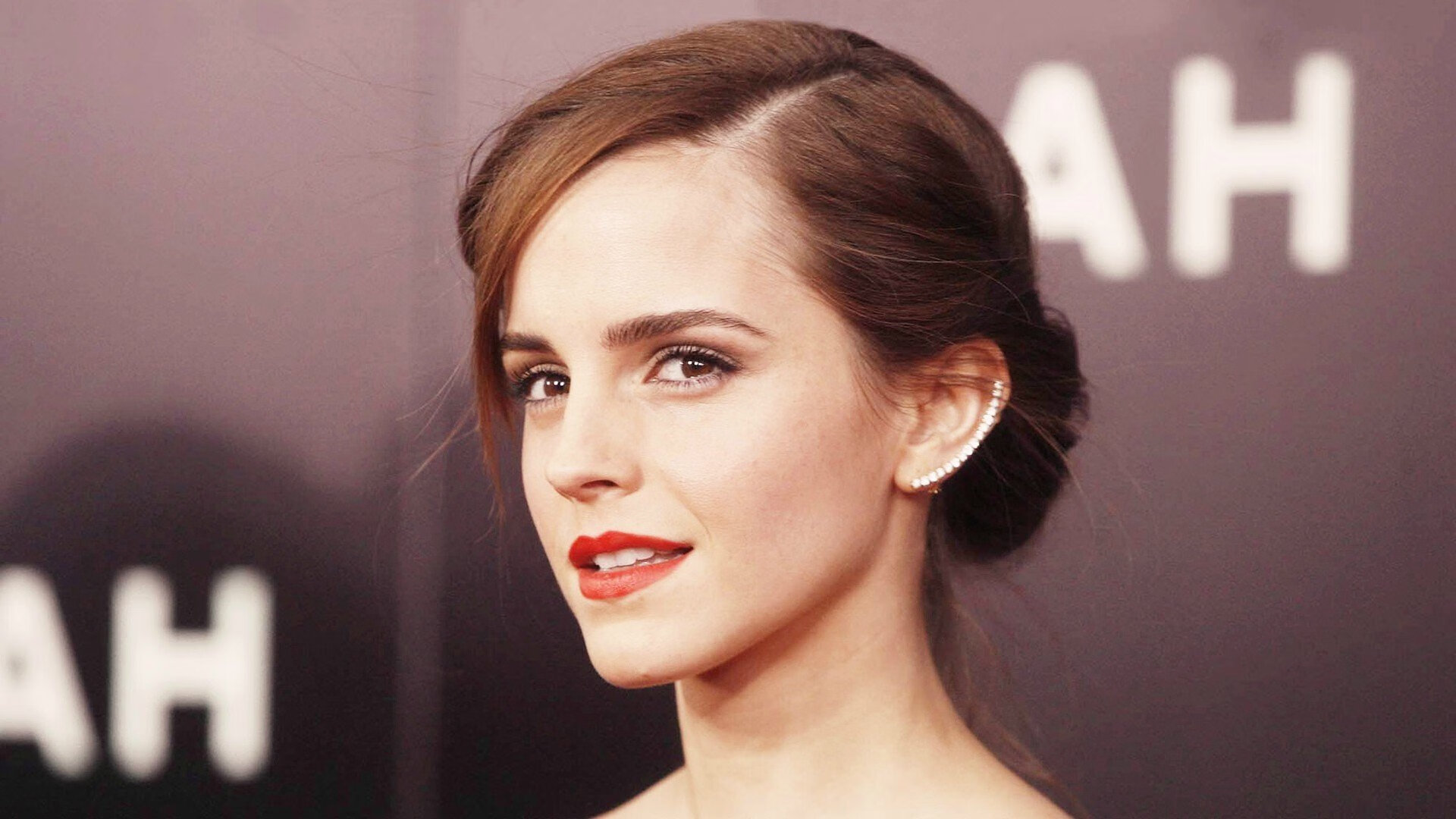 埃弗顿边路突破凌厉,古迪逊公园期待胜利,古迪逊公园球场扩建