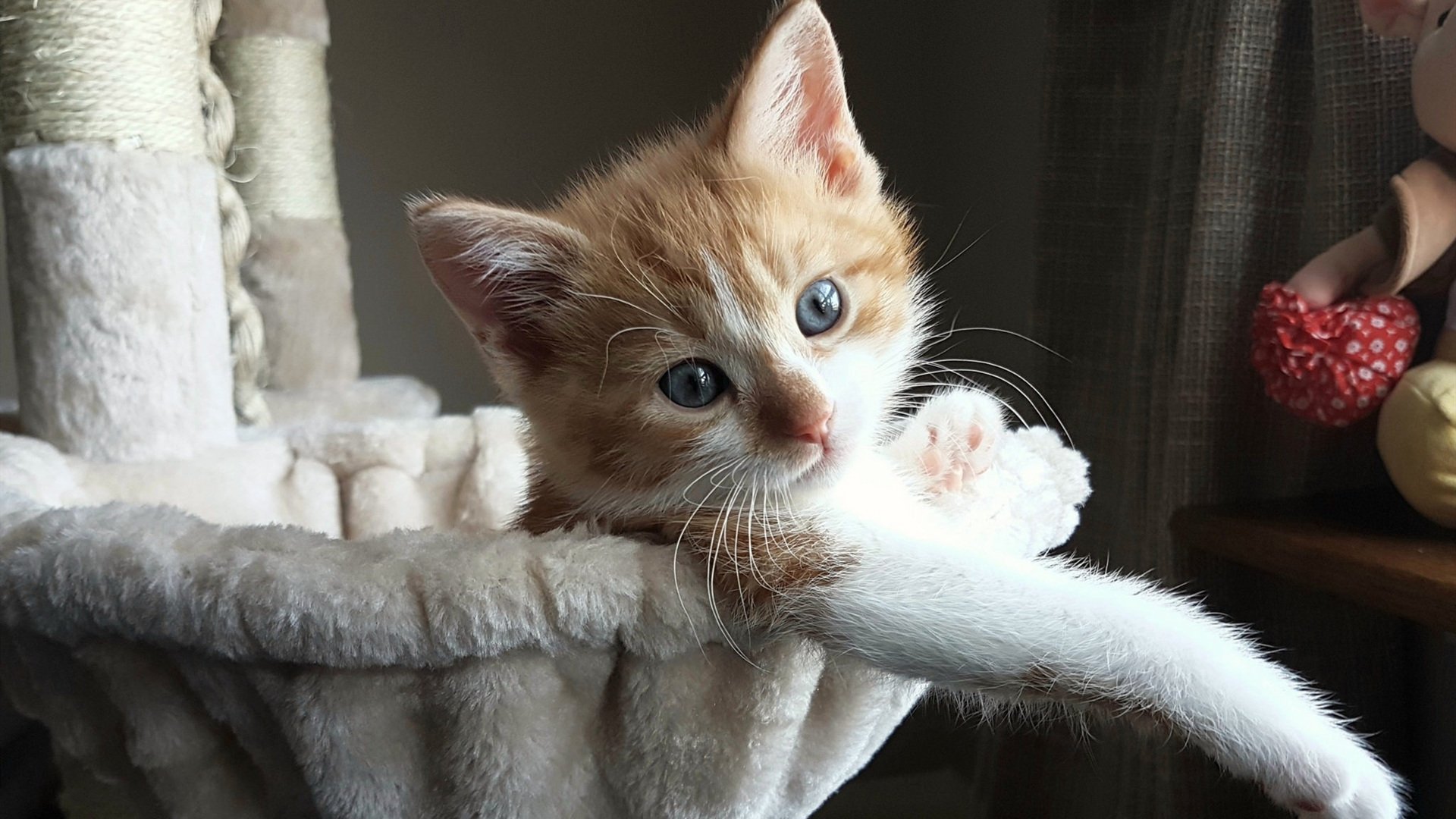 拜仁慕尼黑客场击败亚特兰大,向小组出线迈进,拜仁慕尼黑客场队服