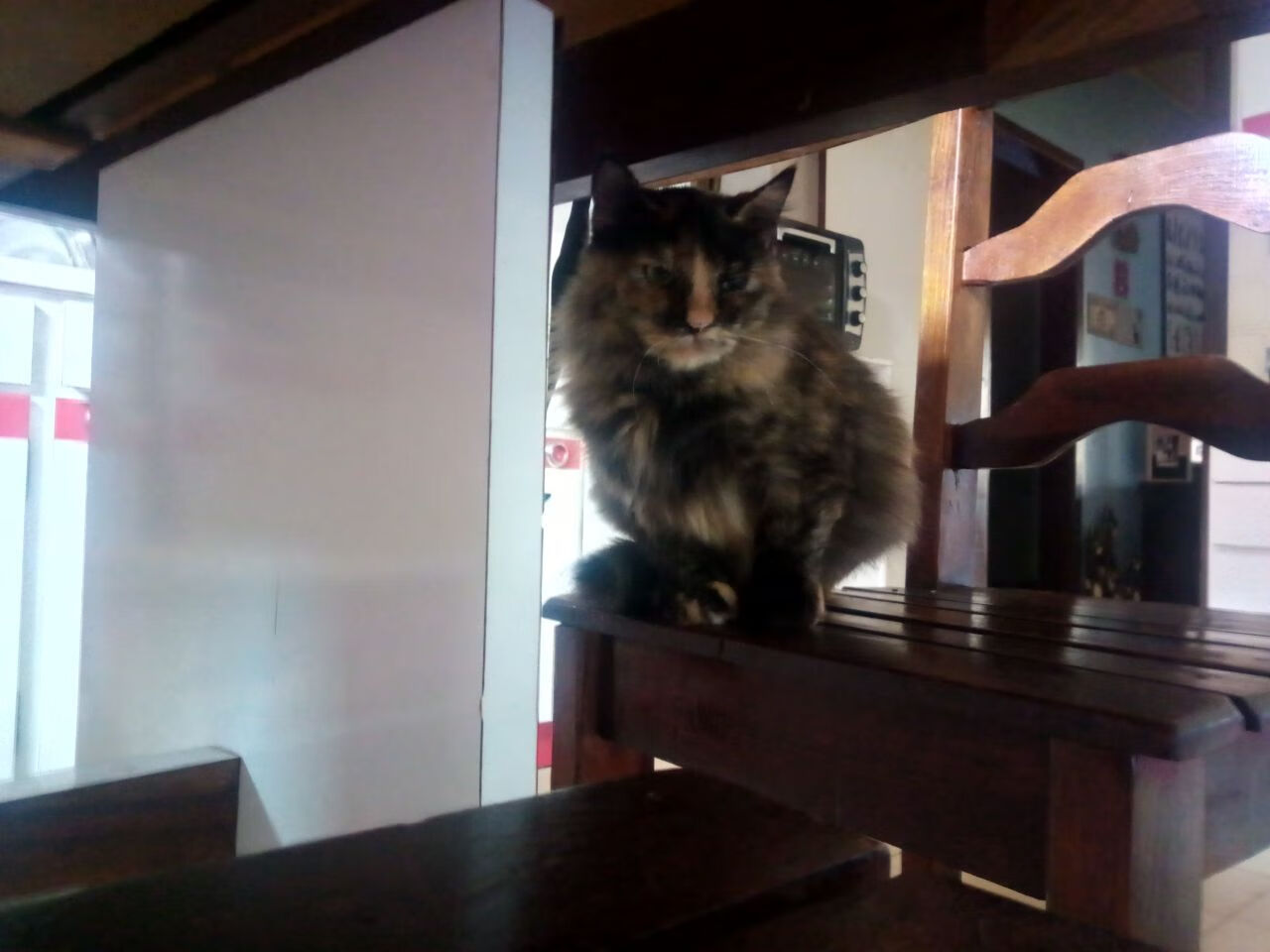 步行者力克篮网,稳步进军季后赛,步行者vs篮网全场回放