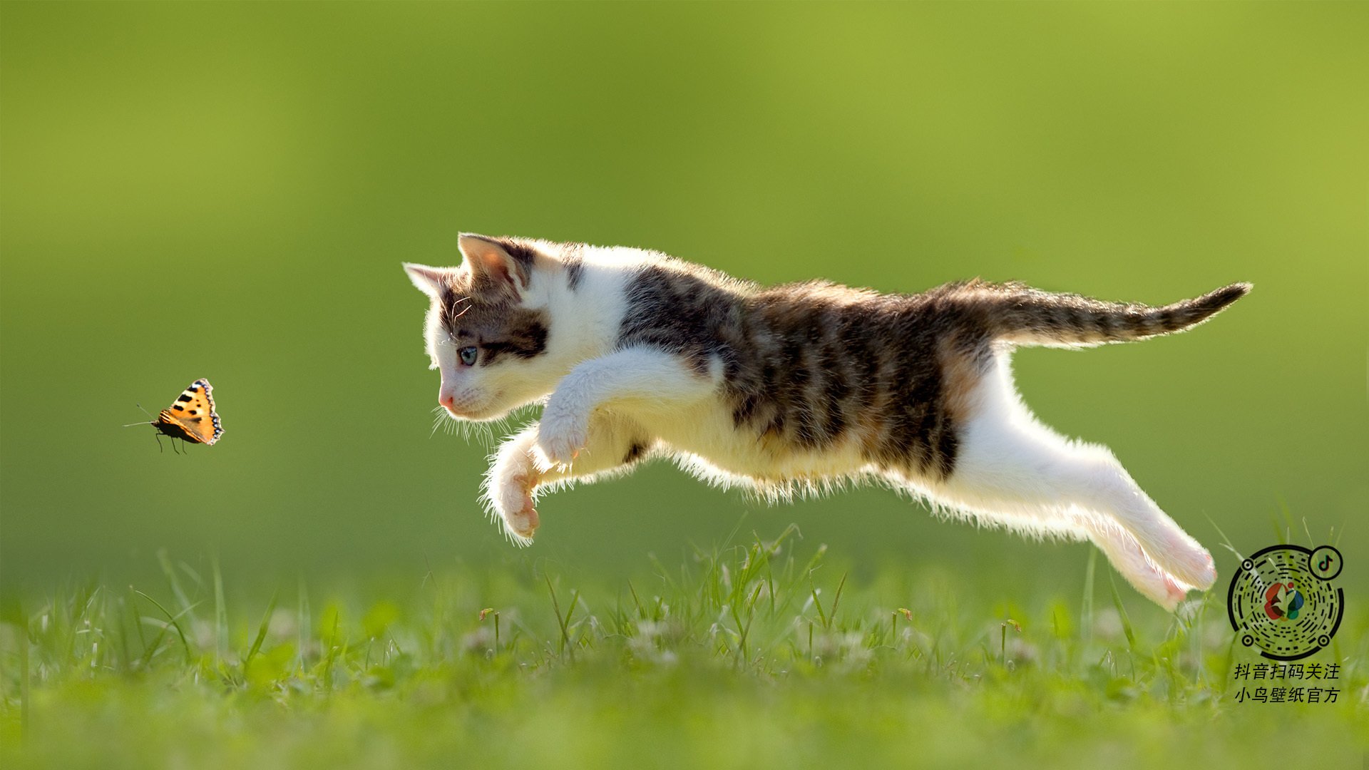 APP下载 LY Sports-河南队坚持到最后一刻，最终获得胜利，河南队全运会战绩