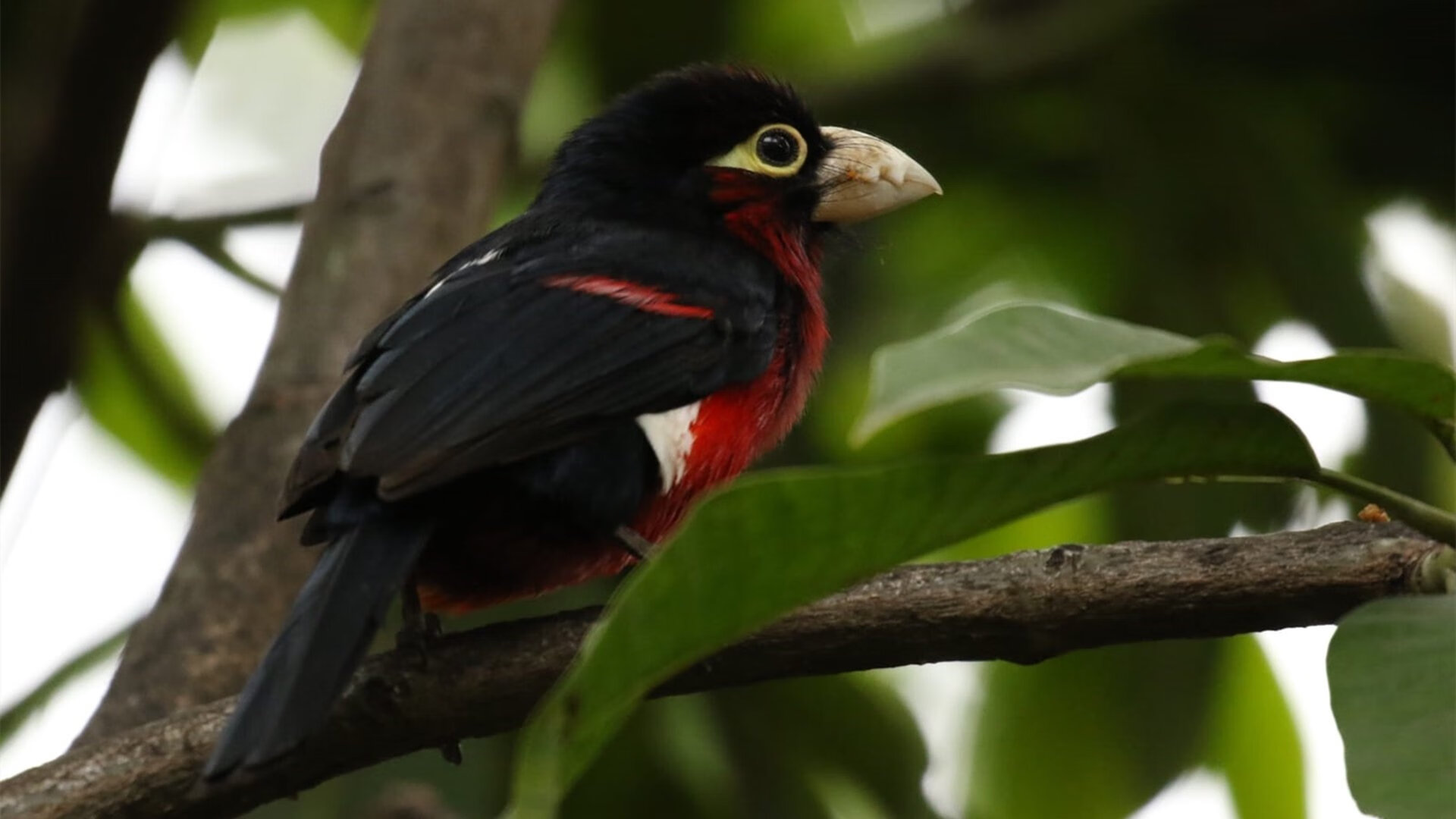 乐鱼体育-河南建业迎来天津天海，胜利之路究竟属于哪一方？，天津建业地产