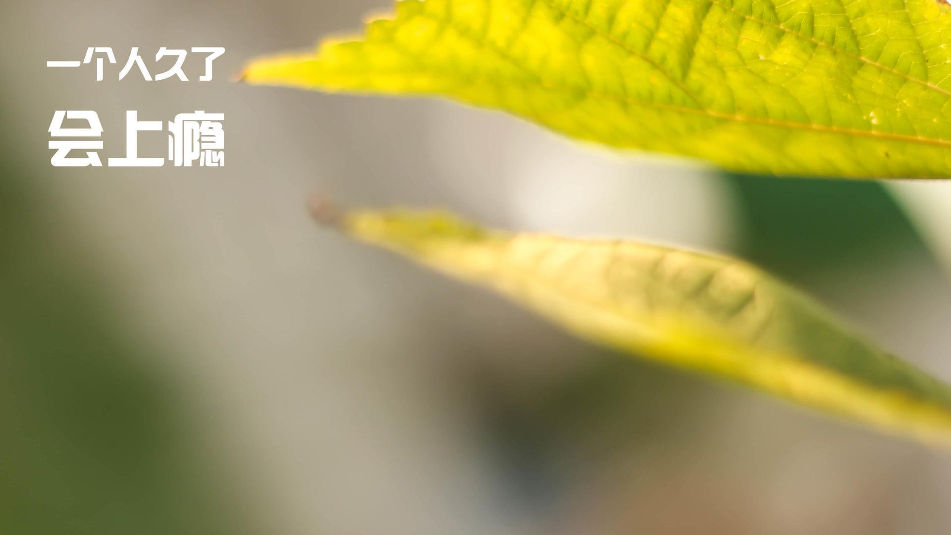 河南建业迎来天津天海，胜利之路究竟属于哪一方？，天津建业地产