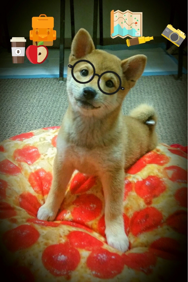 乐鱼体育平台app下载-长春亚泰队主场大胜武汉卓尔，彰显实力，长春亚泰阵容2020