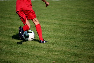 乐鱼电竞· (中国)官方网站-法甲营养恢复系统提升球员赛季稳定性调查