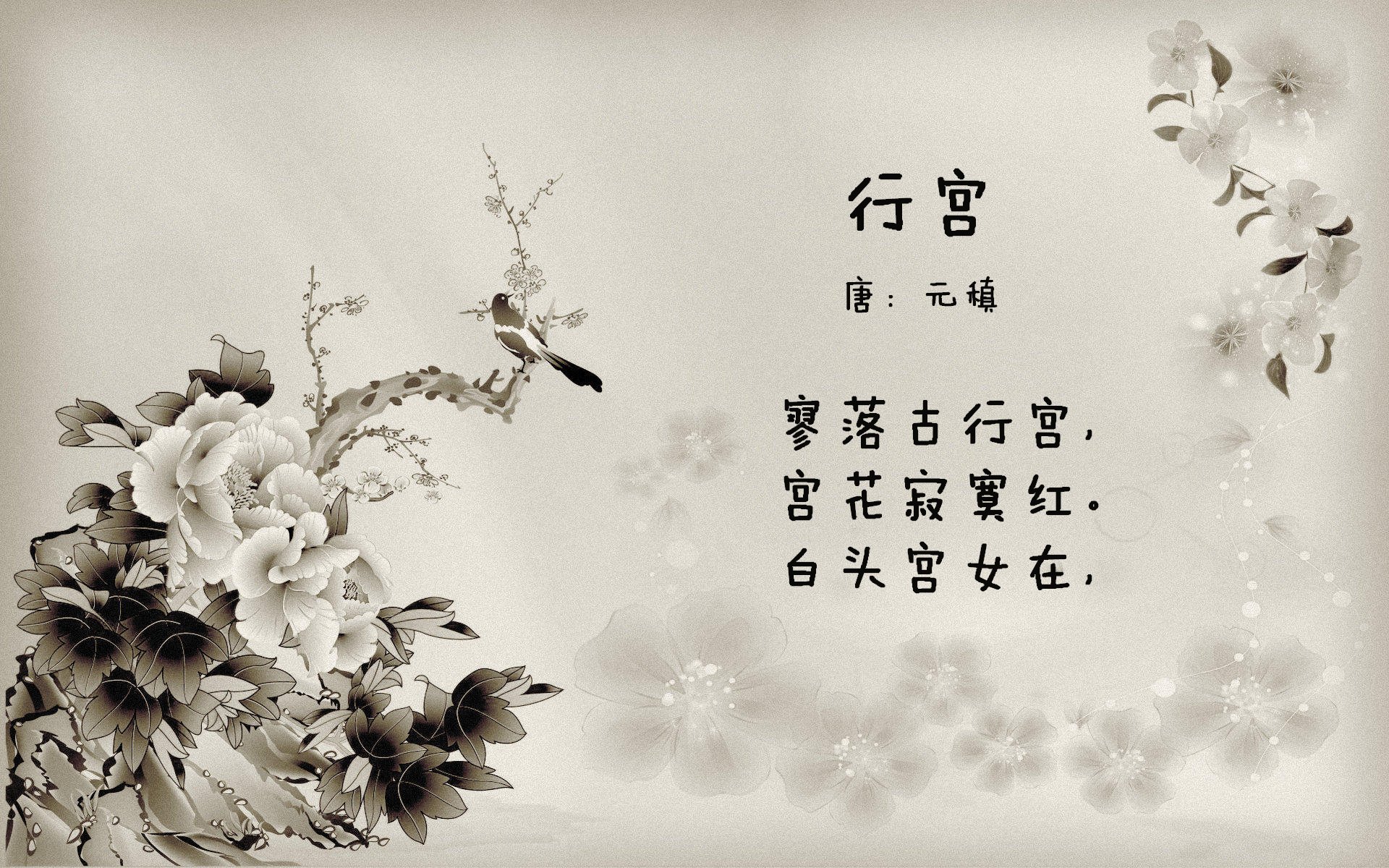 塞尔维亚女篮在欧洲锦标赛中展现强大实力，争夺金牌目标，塞尔维亚女篮球