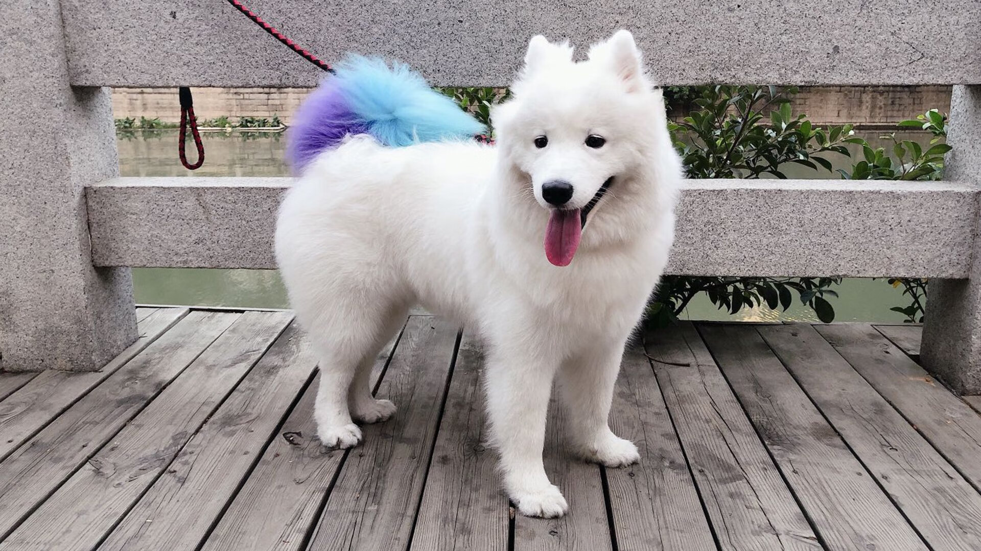 乐鱼（中国）体育官方网站-媒体开放日首次开放战术课引发广泛讨论与分析，媒体开放日活动方案