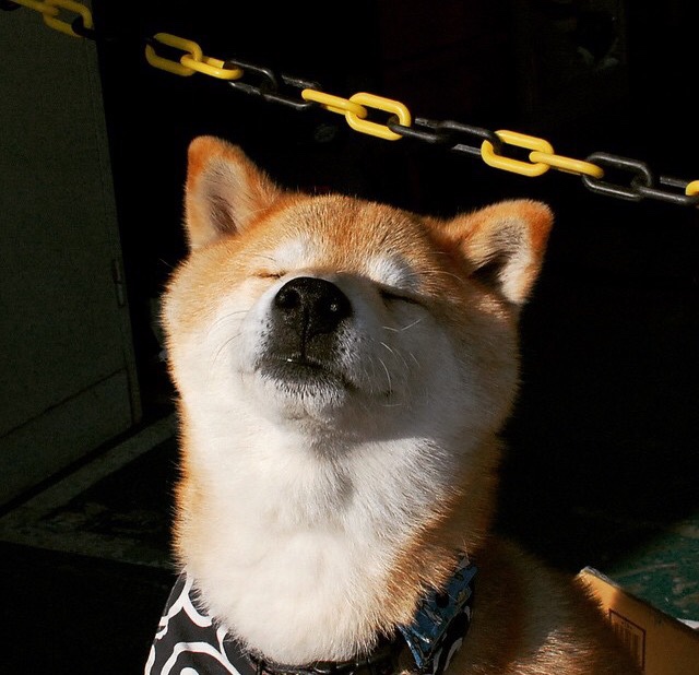 乐鱼体育(中国)官方网站-教练员培训班开设专题课程聚焦现代战术理念与数据分析，起底“教练技术”培训