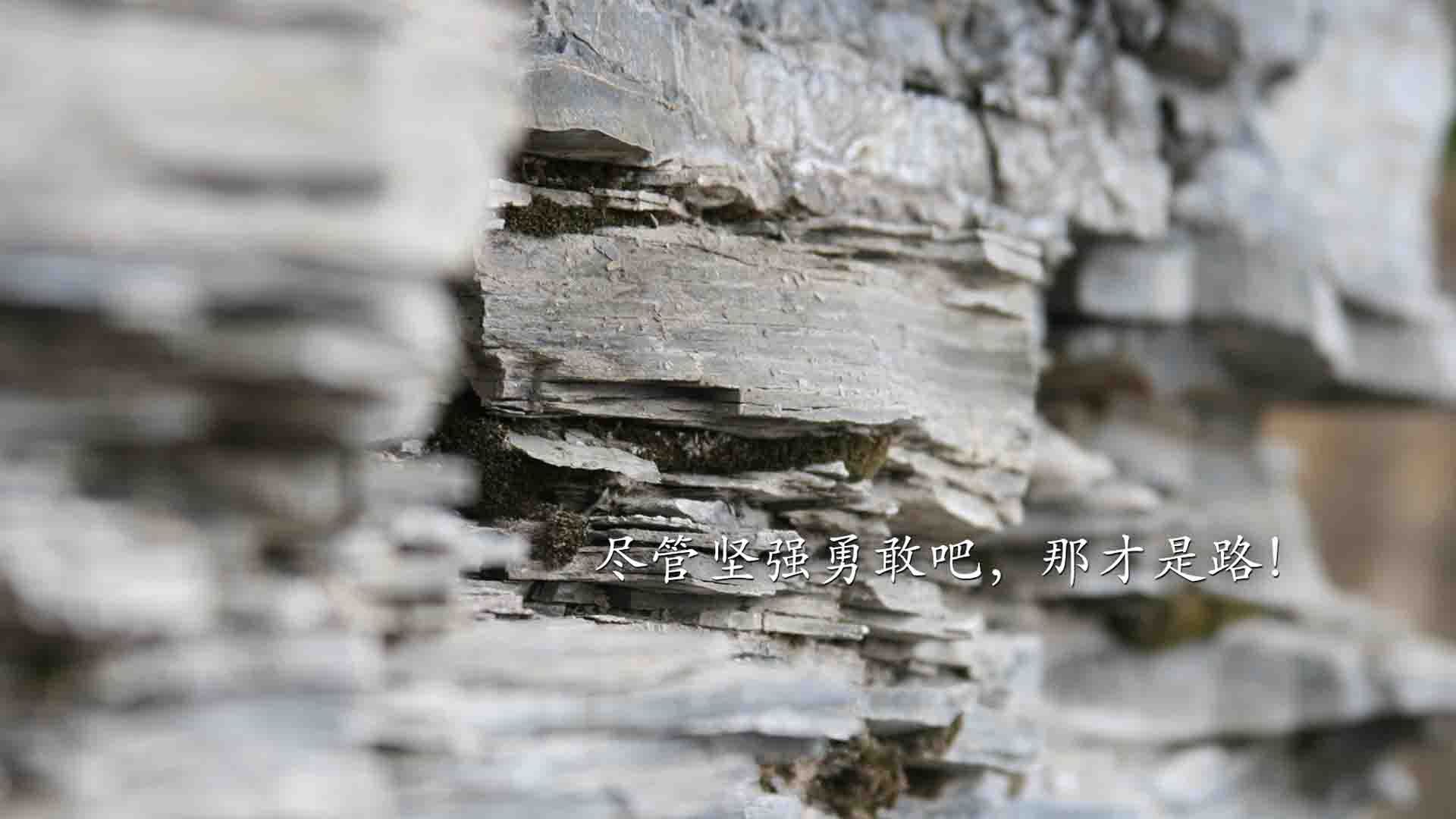 乐鱼官方登录入口-皮特·斯图斯：南非羚羊队核心力量，助力球队登顶世界之巅